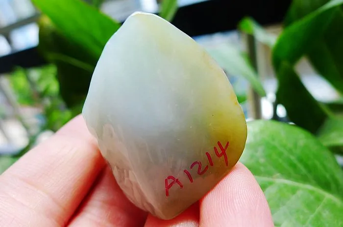 Natural Jade Rough Jadeite Raw (30g,4X3X1.7cm)