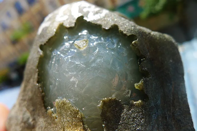 Natural Jade Rough Jadeite Raw (488g,9.5X6X4cm)
