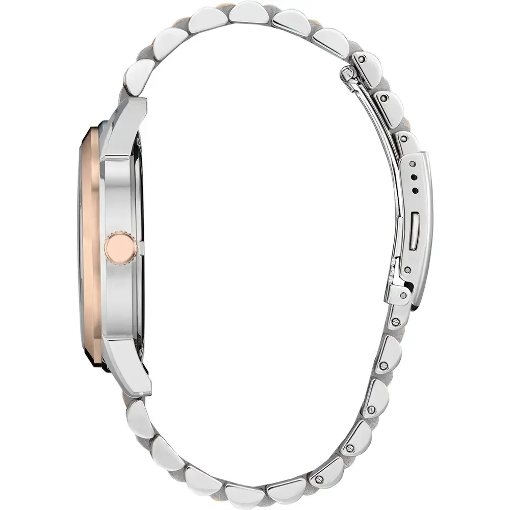 Rolan Rose, Steel and Brown 41MM Watch