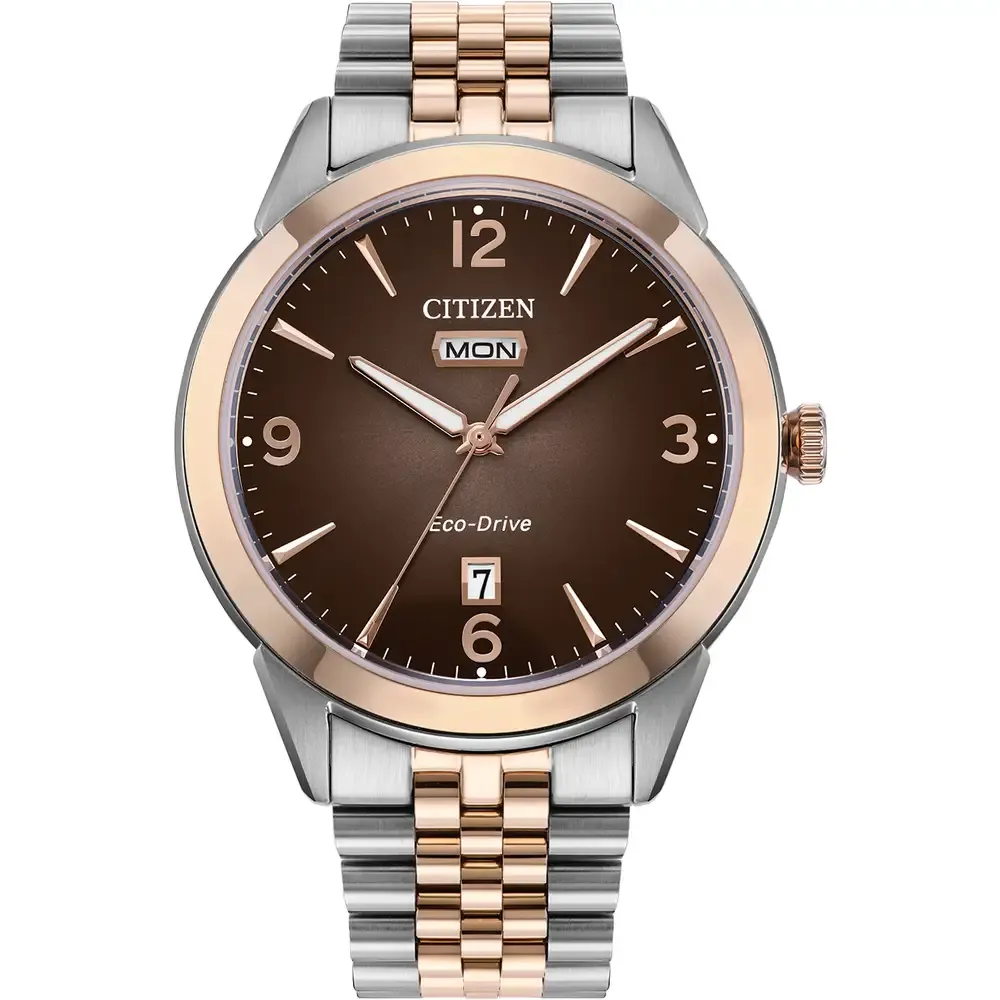 Rolan Rose, Steel and Brown 41MM Watch